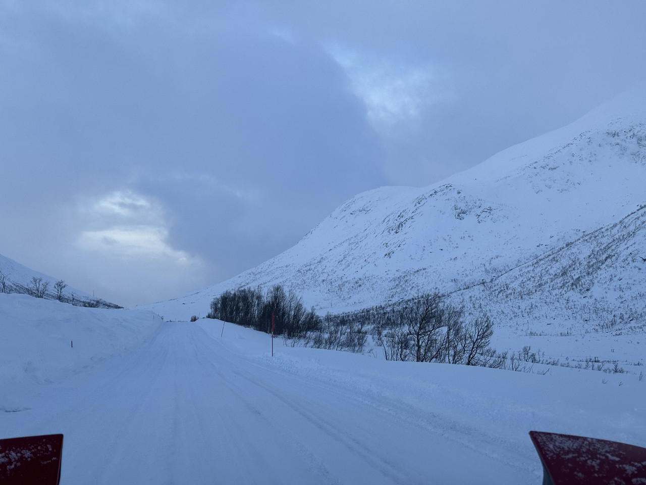 [Immagine: IMG-8283.jpg]