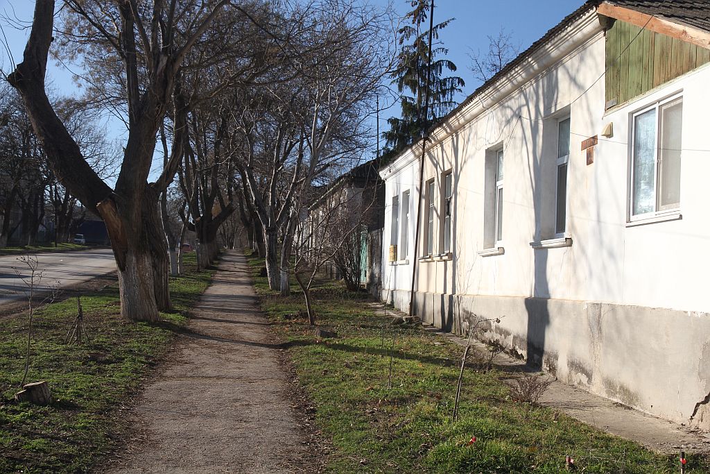 https://i.postimg.cc/Lsk2jxy5/IMG-0566.jpg