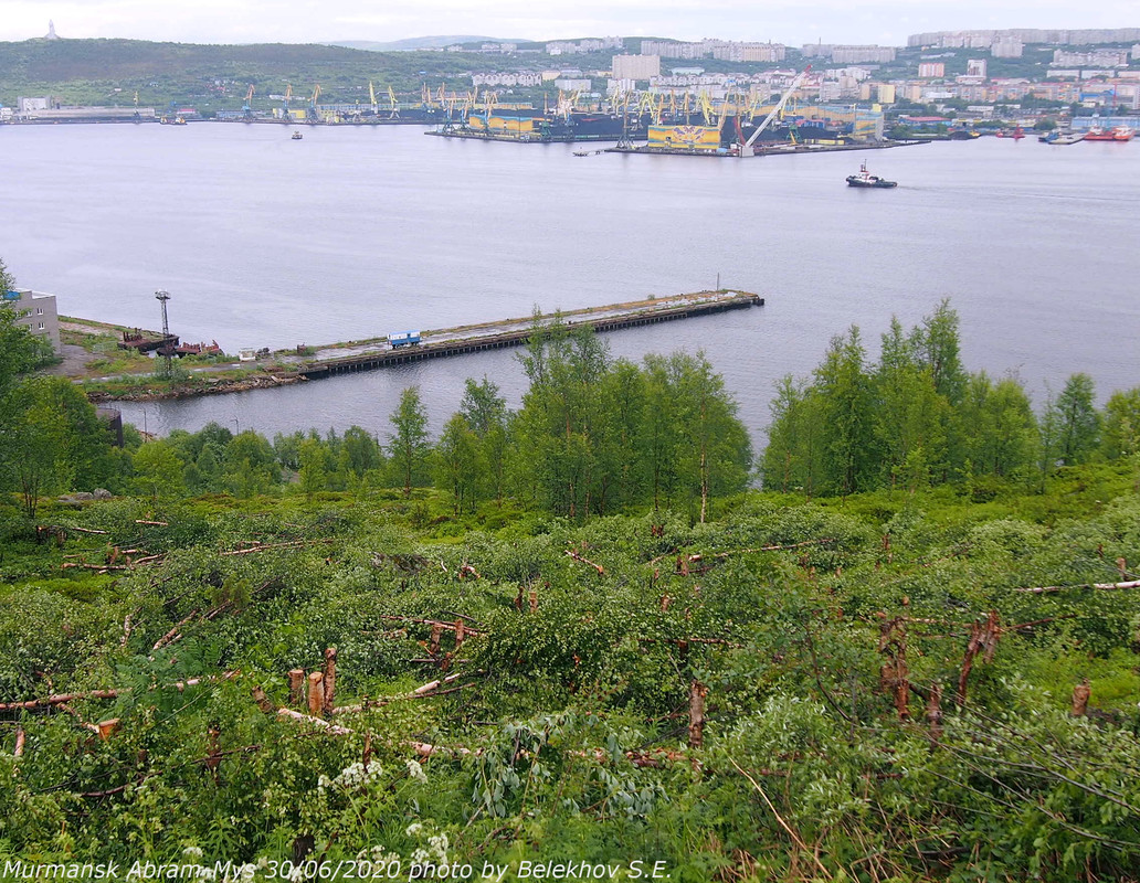 Абрам-Мыс, Кольский залив, лето Абрам-Мыс, Кольский залив, лето