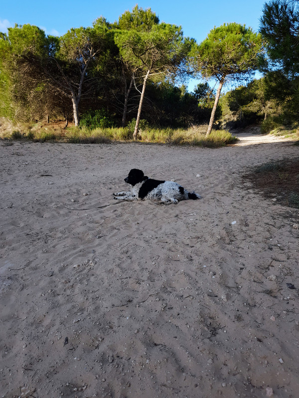 8F3671E6-75C9-4A2E-8363-5617512B009B