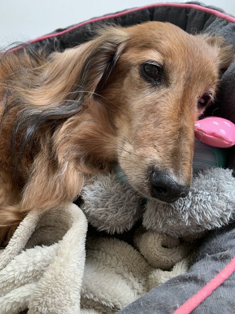 [Image: 0-BC10-F53-959-F-4-EEF-9222-8-A276340-F4-BC.jpg]