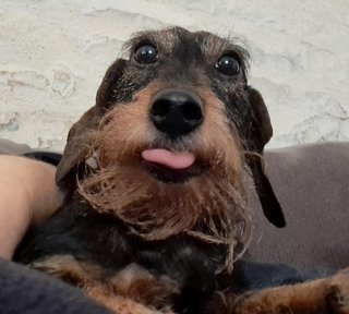 [Image: 20230129-152117-web.jpg]