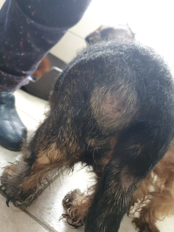 [Image: 20220223-144806.jpg]