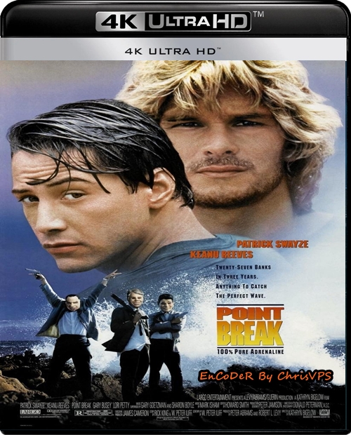 Na Fali / Point Break (1991) MULTI.Hybrid.HDR.DoVi.2160p.BDRemux.DTS.HD.MA.AC3-ChrisVPS / LEKTOR i NAPISY