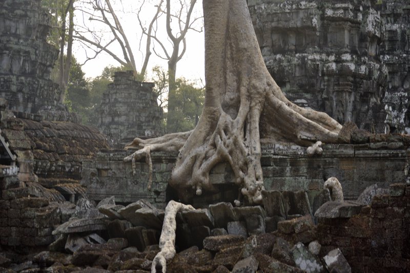 Angkor II. Circuito corto. - De la bahía de Halong a los templos de Angkor (8)