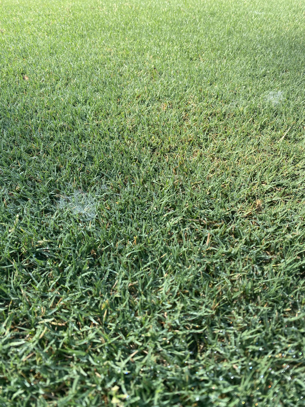 0CFF8533-330D-4B93-84F3-7BF345C3661E