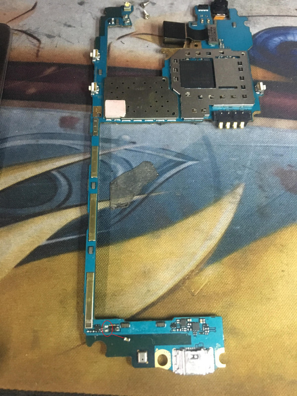 50632778-300008587325103-7146542610918670336-n.jpg