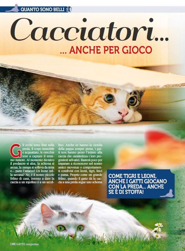 Ga Ma Dic 2017 - Gen 2018 (9)