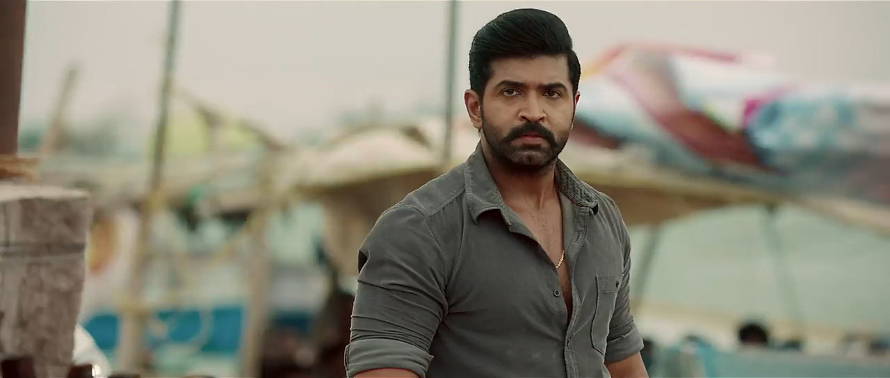 Yaanai 2022 WebRip [Hindi + Tamil] 480p 720p ESub Screenshot