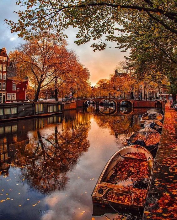 orangeamsterdam.jpg