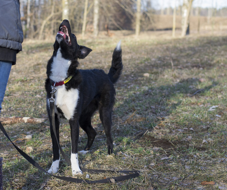 Дакота_06_18_12