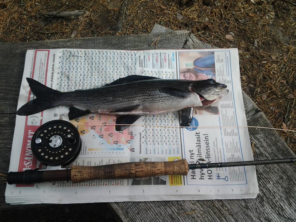 2014-08-14 16.15.50 (Medium)