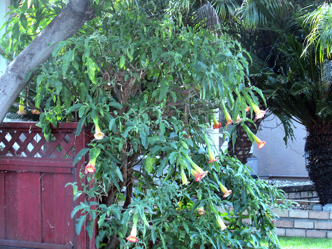 IMG 0073 — Postimages