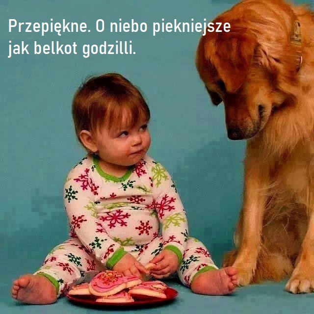 Obrazek