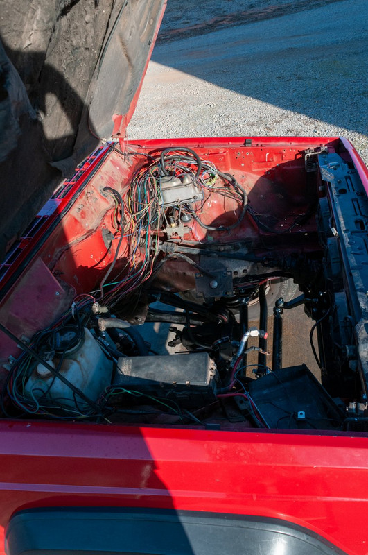 DSC 8555 — Postimages