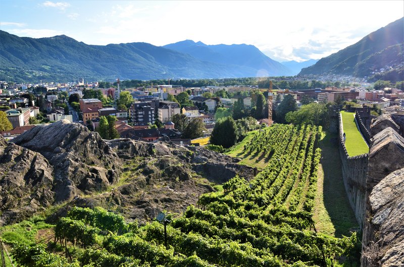 Suiza y sus pueblos-2019 - Blogs de Suiza - BELLINZONA-7-9-2019 (36)