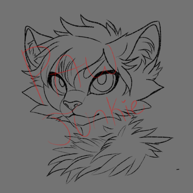 IMG-0207.png