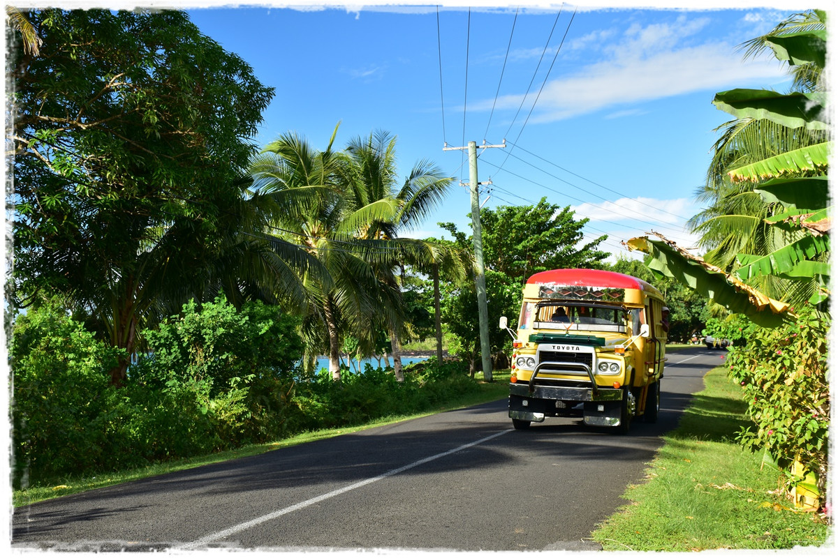 Talofa! Samoa, una perla en el Pacífico - Blogs de Samoa - Introducción y curiosidades sobre Samoa (18)