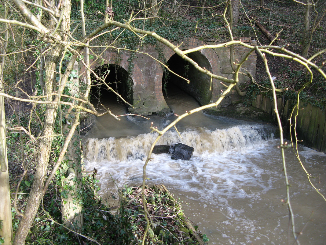 4A65220C-A083-430B-AC8F-B45806646202