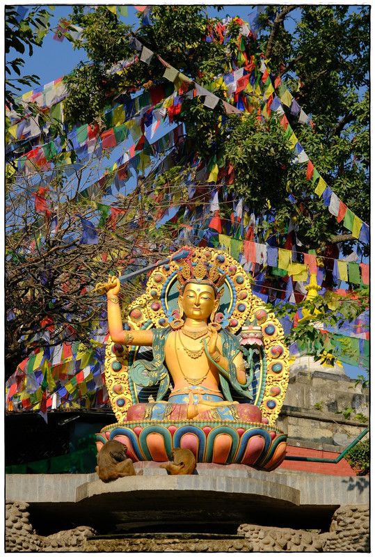 Kathmandú (II) - Trekking en Nepal: Annapurna Circuit y Mardi Himal (11)