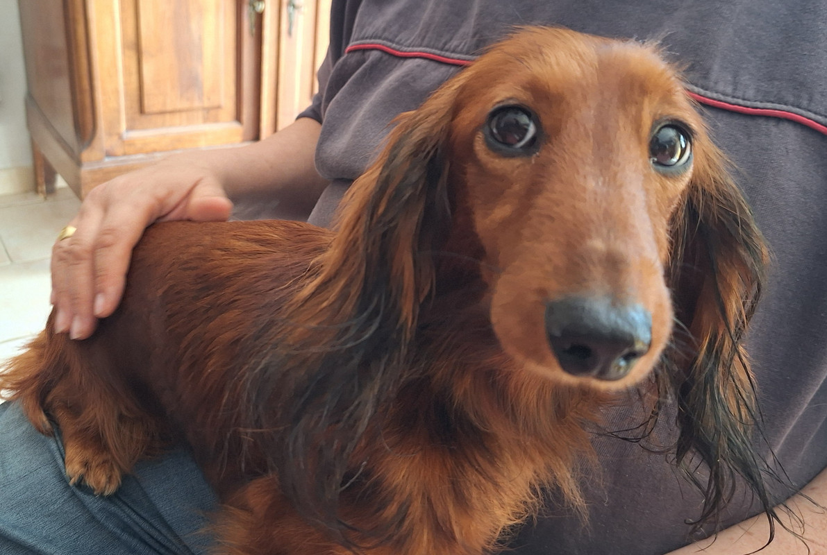 [Image: 20250409-120924.jpg]