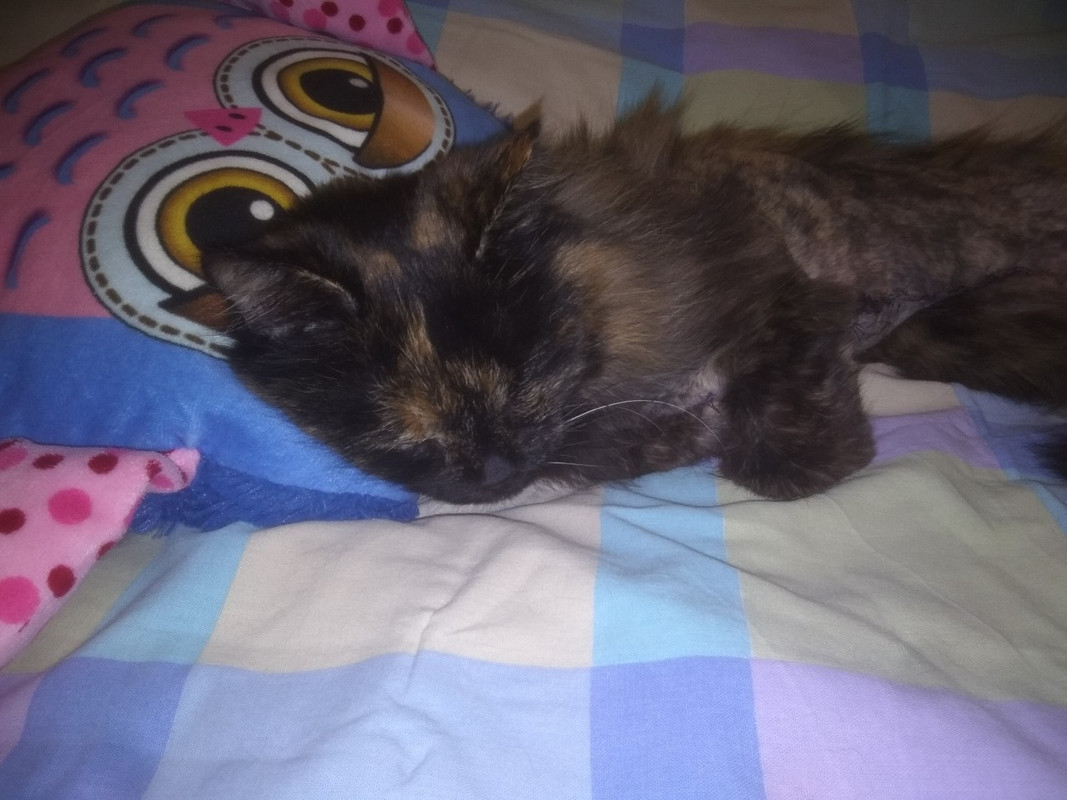 изображение_viber_2019-09-06_19-41-31