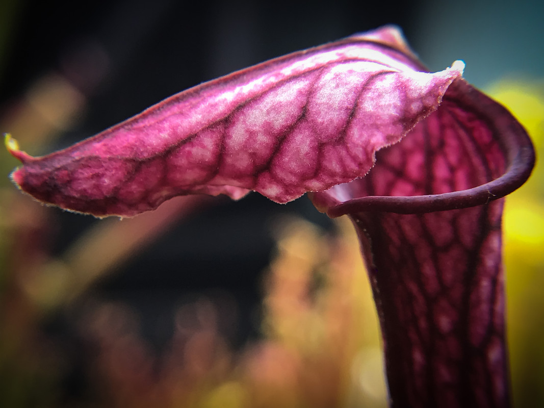 4DC32AC1-1652-4E99-9761-7EDA2AE55646