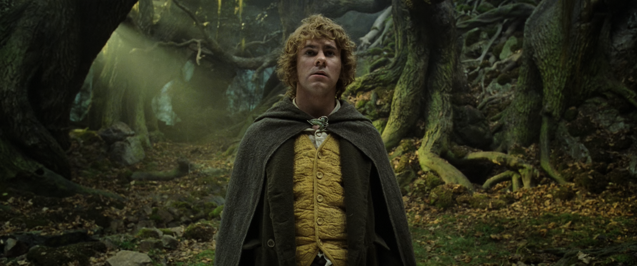 The Lord of the Rings The Two Towers (2002) EXTENDED (1080p Bluray AV1 Opus) [NeoNyx343] - [01:08:39