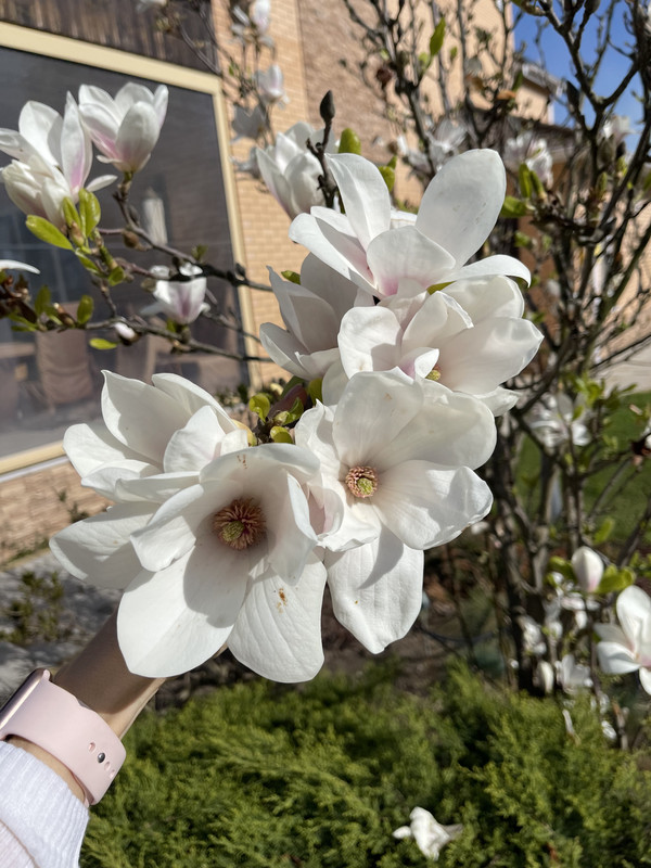 623BE060-7A88-4C9E-8DF5-FACBC376FFF1