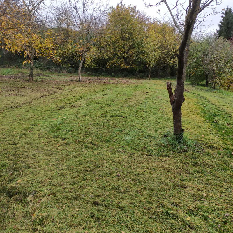 566569716 1037149295140028 4330497775183801835 n