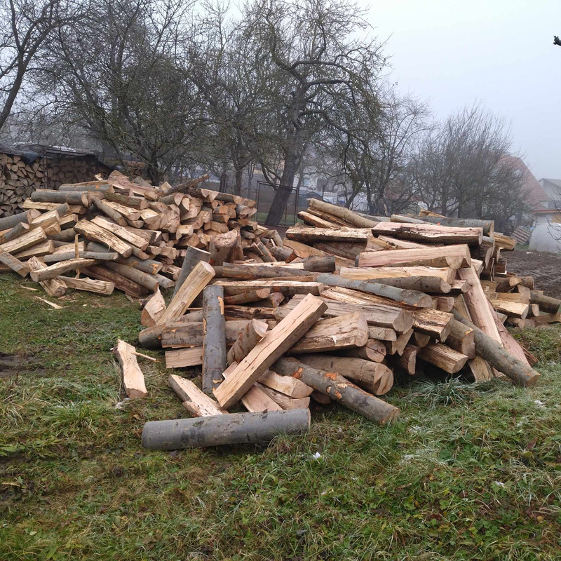 470856098_1742081539906630_7242755890367177728_n