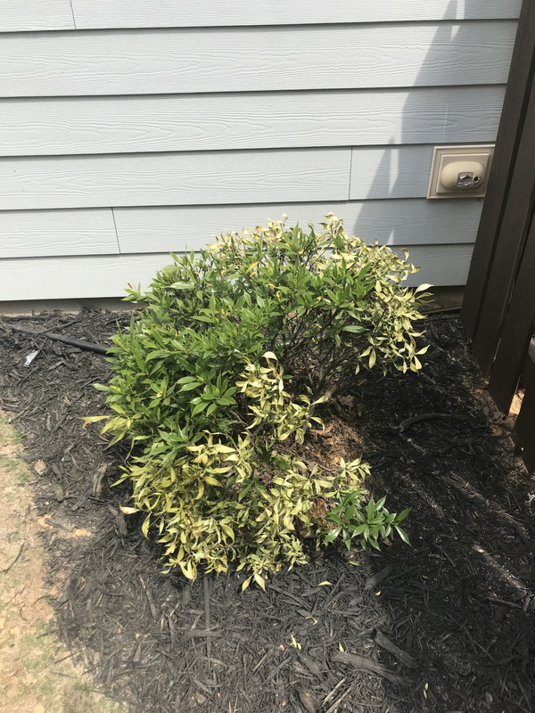 DE859A60-E270-4021-AACF-D5E41D2E977D