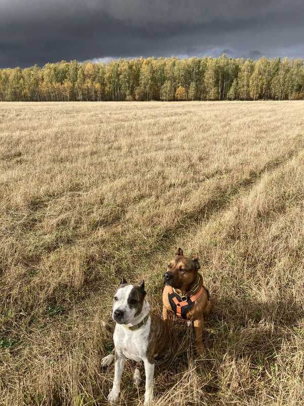 9BFBF8D3-6018-40EB-8449-C134B80E422D