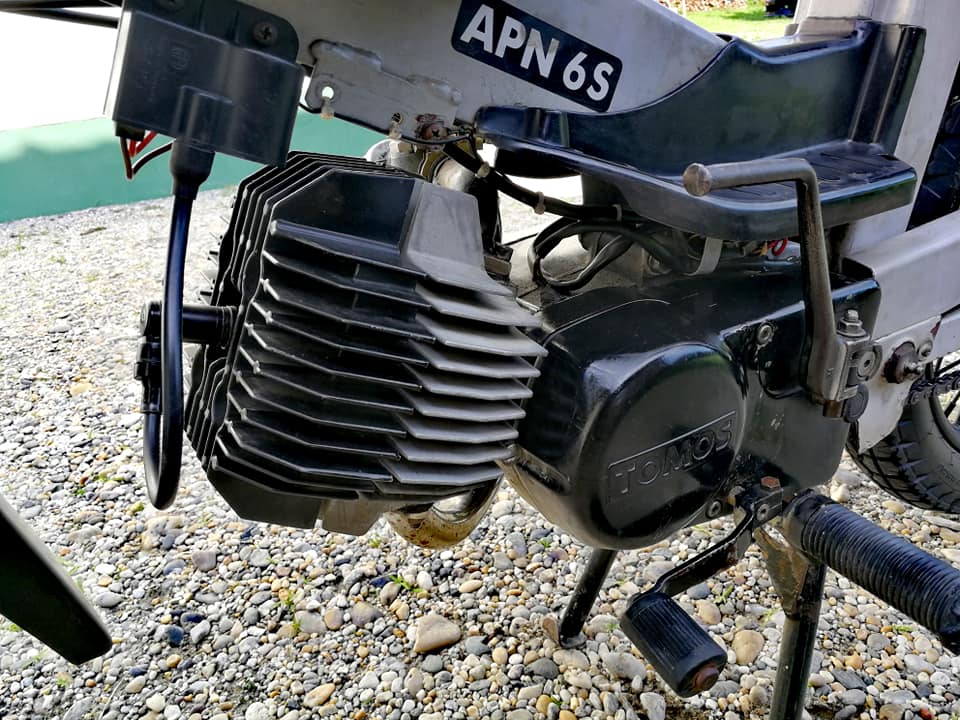 108417692_325100938510265_5017671872833600566_n (1)