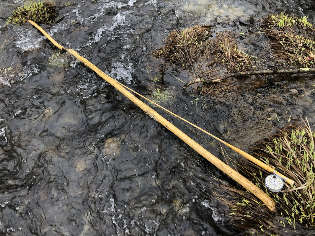 4DBB35ED-E6A9-410A-9866-5C91622A45F7