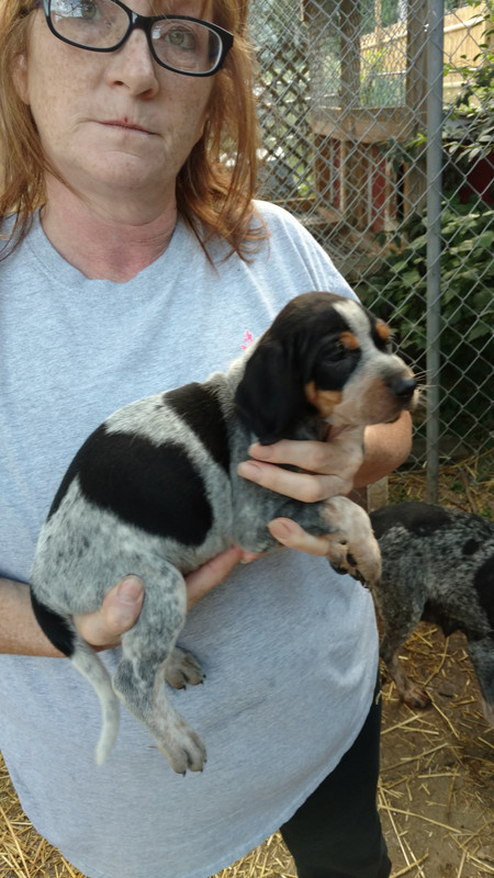 IMG_20180721_200020492