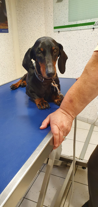 [Image: 20221027-184538.jpg]