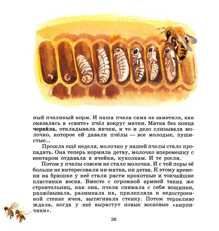 Ivanov-Sergej-Na-paseke-1989-1-36-page-0030
