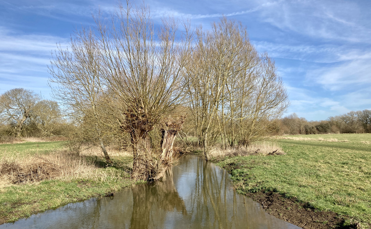 6F59ADE2-BE2D-44B8-826C-074C73C966E1