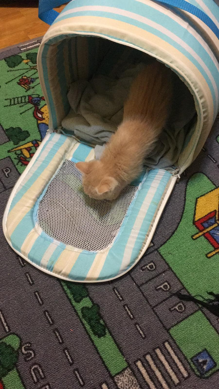 1DA9A6E7-E8C5-4176-B0CC-00DA9E6FD8AD