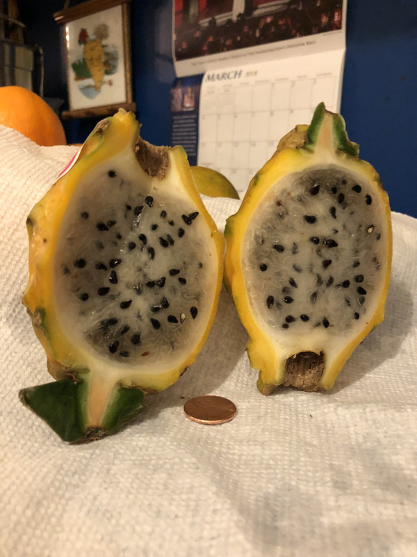 0F0F4F5B-E4D0-47AF-95E0-C31766730F84