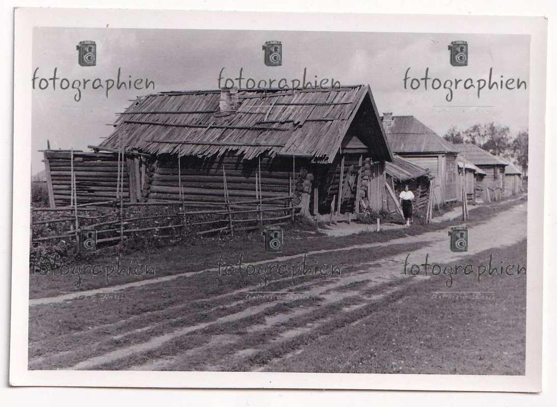 org. Foto Russland Demidow bei Smolensk Straße Dorf Hütten 1942