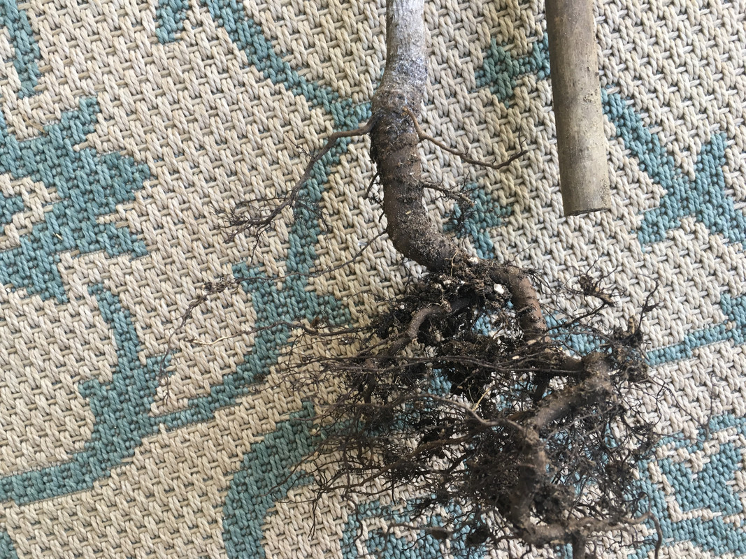 0CF953B4-B114-4066-9A80-6DBC0CCF5FB8