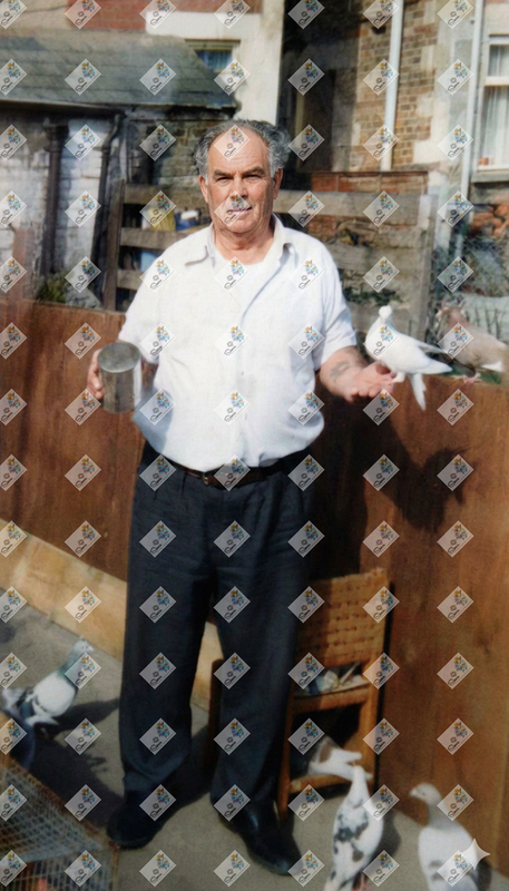 Image 9u3se19u3se19u3s