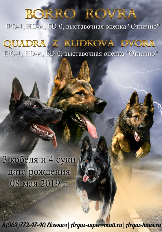 борро-квадра