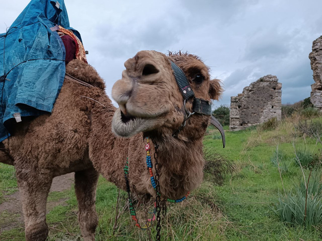 IMG_20230114_194815_121