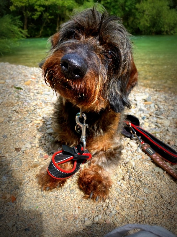 [Image: IMG-0157.jpg]