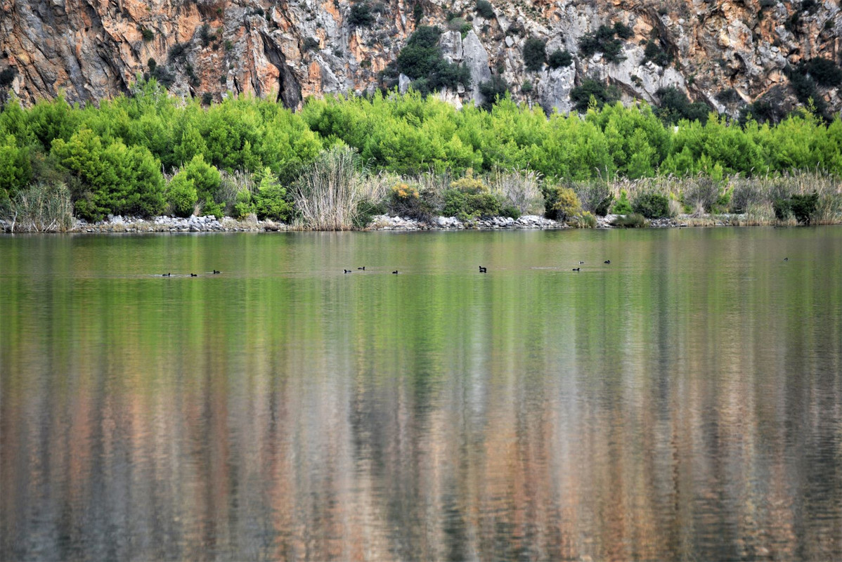 Εικόνα