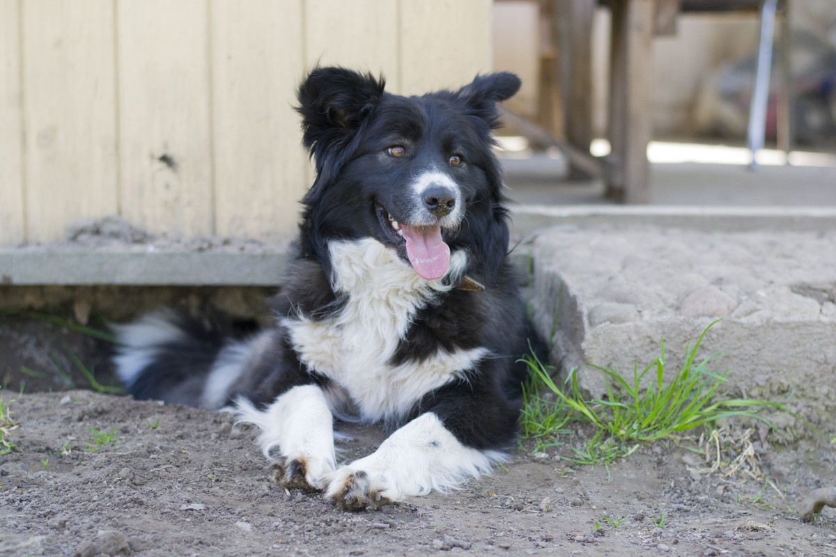 Фортуна_04_19_м6