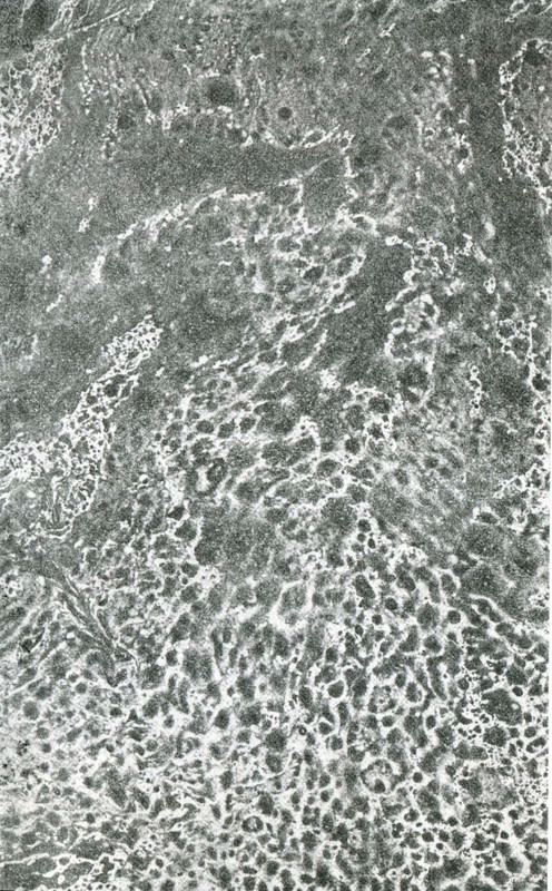 p0003
